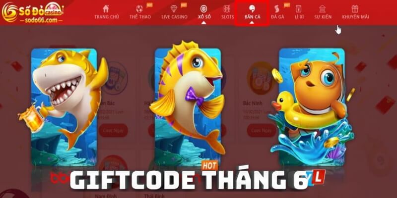 Giftcode SoDo66 là gì? Săn Code nhà cái này có khó không? Bao lâu thì lại ra chương trình 1 lần? 