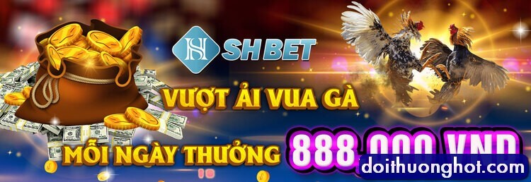 Đại lý nhà cái SHbet có uy tín không? Shbet Net đăng nhập như thế nào? Link tải Shbet Mobile và SHbet Apk ở đâu? Shbet88 khác gì với Shbet0? Hãy cùng làm rõ!