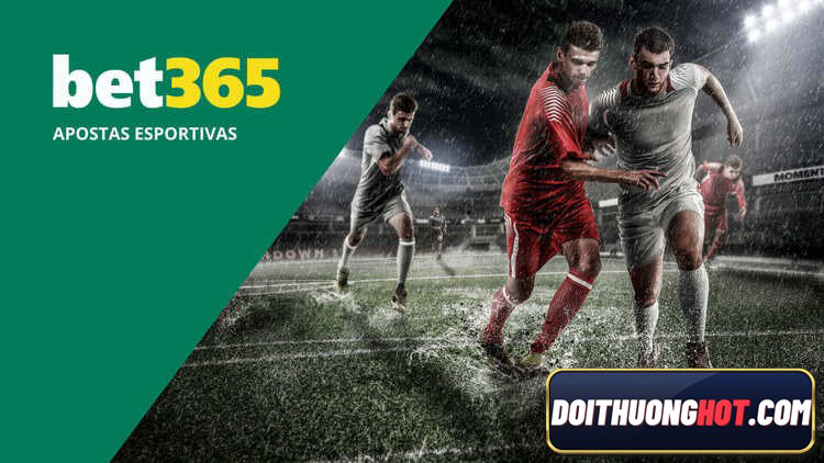 Bet365 it - bet365vn -bet365 ee là nhà cái bóng đá nổi tiếng thế giới. Vậy bet365 đăng nhập ở đâu? Bản bet365 mobile liệu đã có tiếng việt? Hãy cùng phân tích!