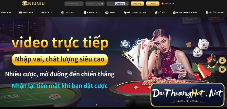 Top 5 Lý Do Nên Chọn Niu Niu - Nhà Cái Uy Tín Free Và Chất Lượng!