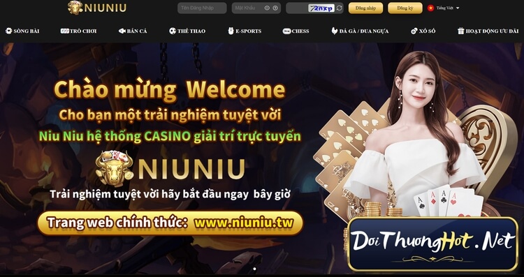 Top 5 Lý Do Nên Chọn Niu Niu - Nhà Cái Uy Tín Free Và Chất Lượng!