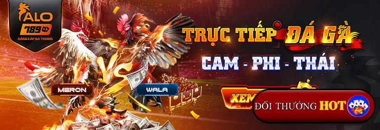 Alo789: Sự Lựa Chọn Perfect Cho Đá Gà Trực Tuyến Và Casino